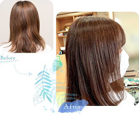トリートメント使用 Before After